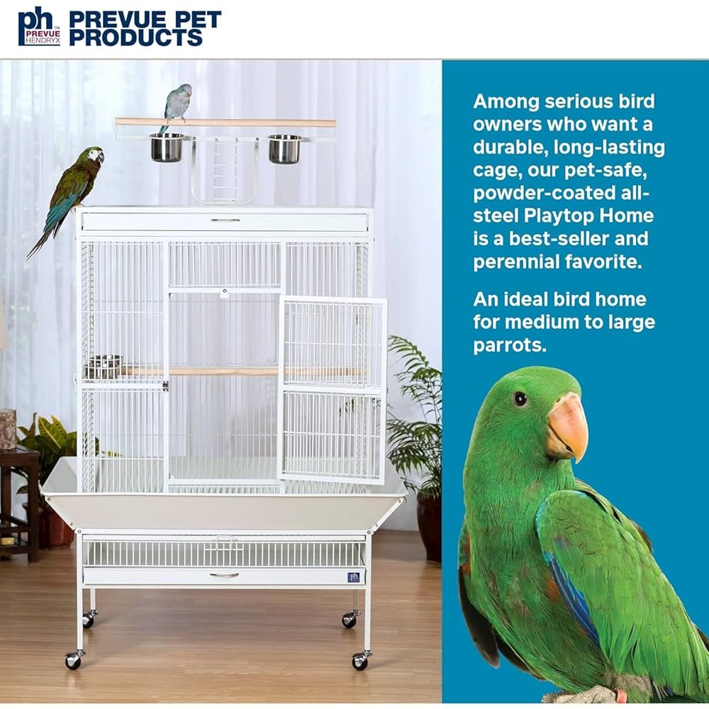 Amazon.com : Prevue Pet Products Wrought Iron Select Bird